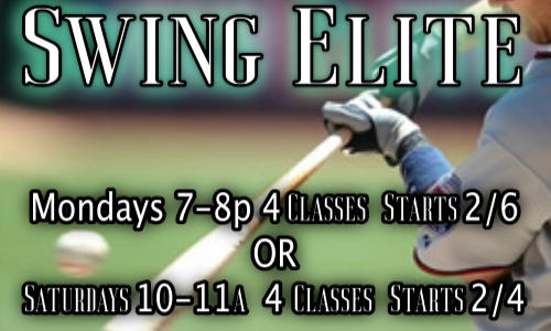 swing elite 2_2023