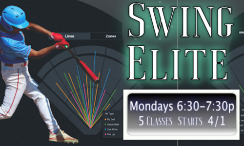 swing elite 4_2024